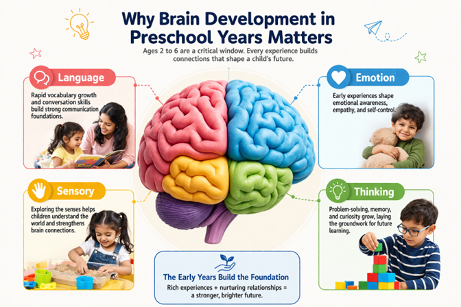 brain-development