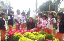 Flowershow - Pushpavatika