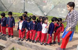 Visit to Nursery