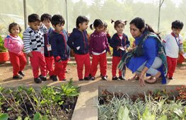 Visit to Nursery
