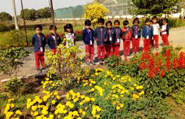 Visit to Nursery