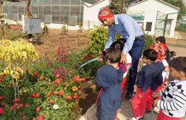 Visit to Nursery