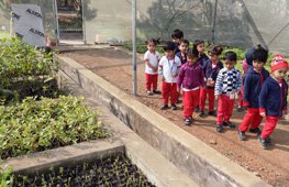 Visit to Nursery