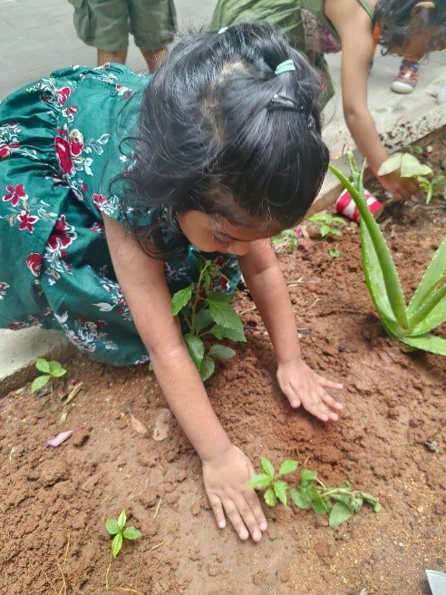 Van Mahotsav Celebrations