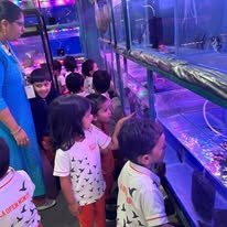 Field Trip