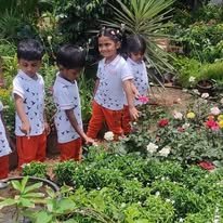 Field Trip