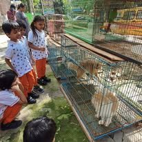 Field Trip