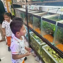 Field Trip
