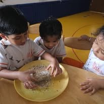 STEAM Activities