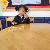 STEAM Activities