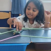STEAM Activities