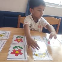 Table Top Activities