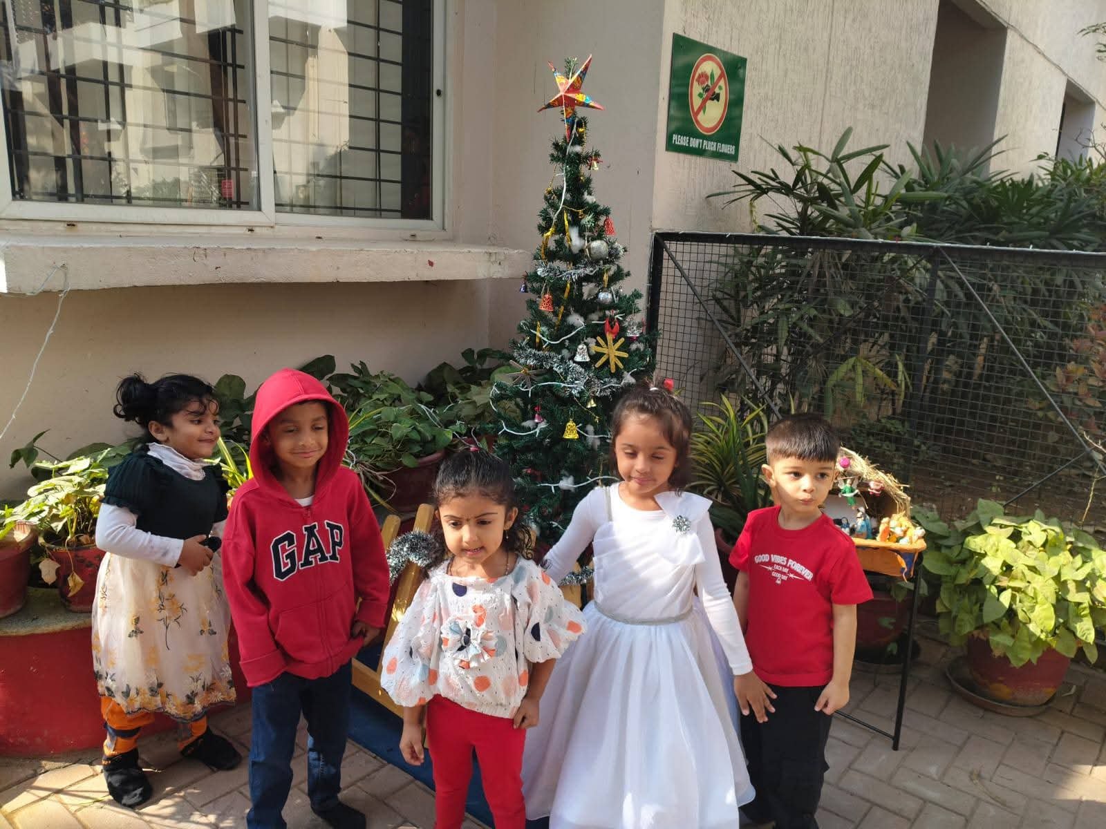Christmas & Red Day