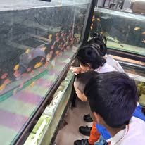 Field Trip
