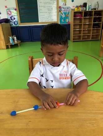 STEAM Activities